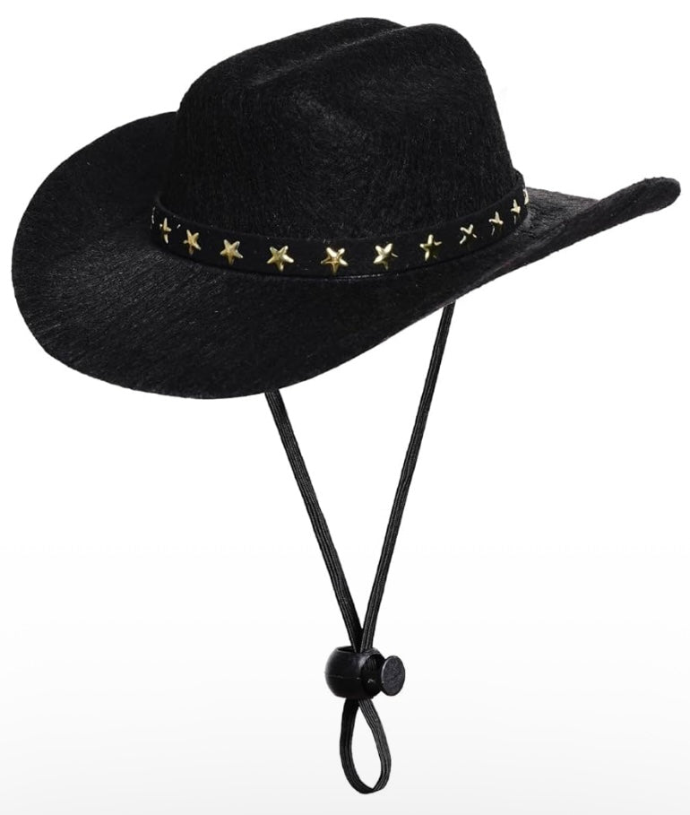Cowboy Hat
