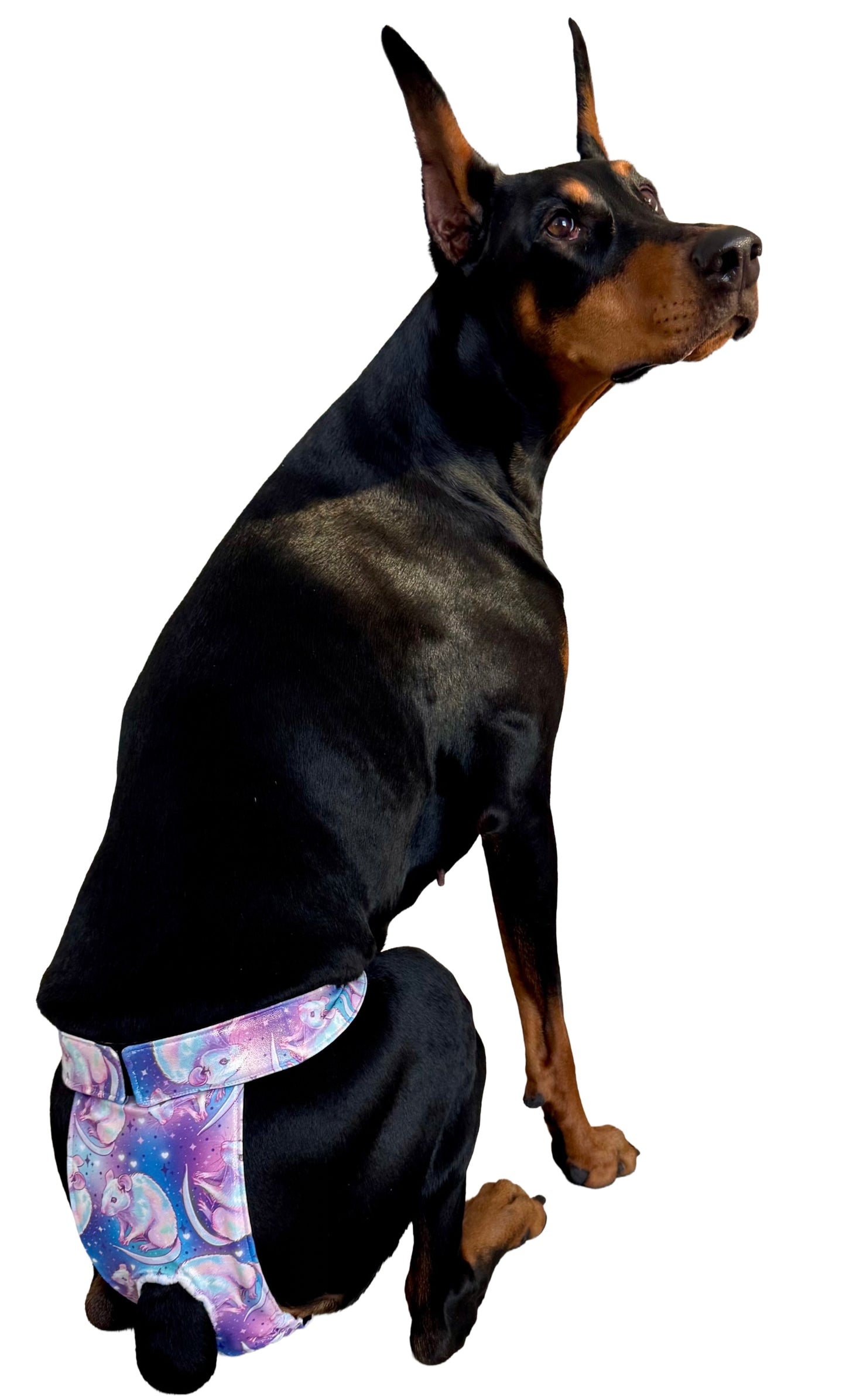 Sport Panty-Pattern Material