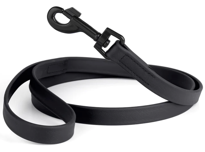 Biothane Leash