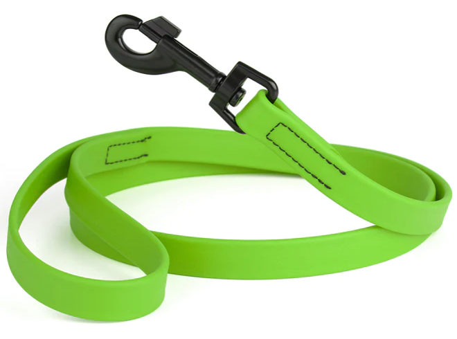 Biothane Leash