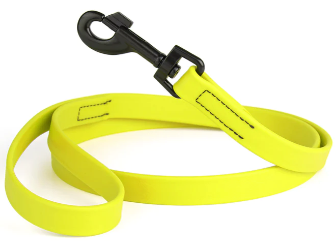 Biothane Leash