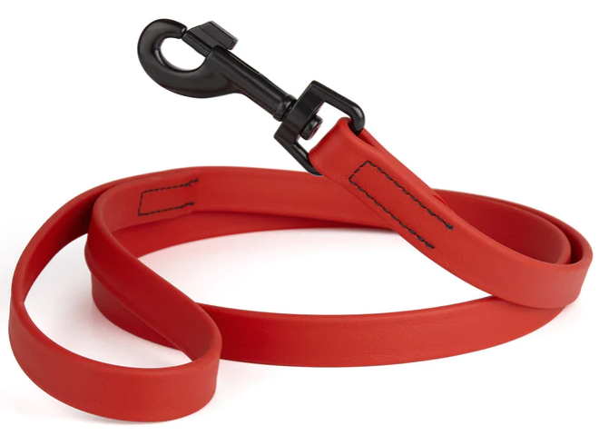 Biothane Leash