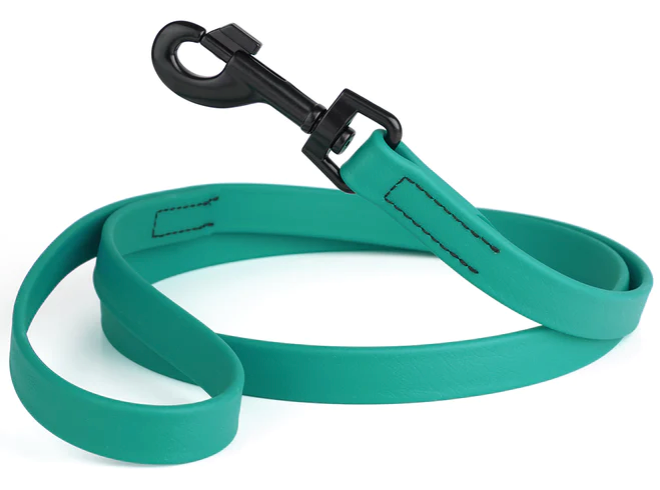 Biothane Leash