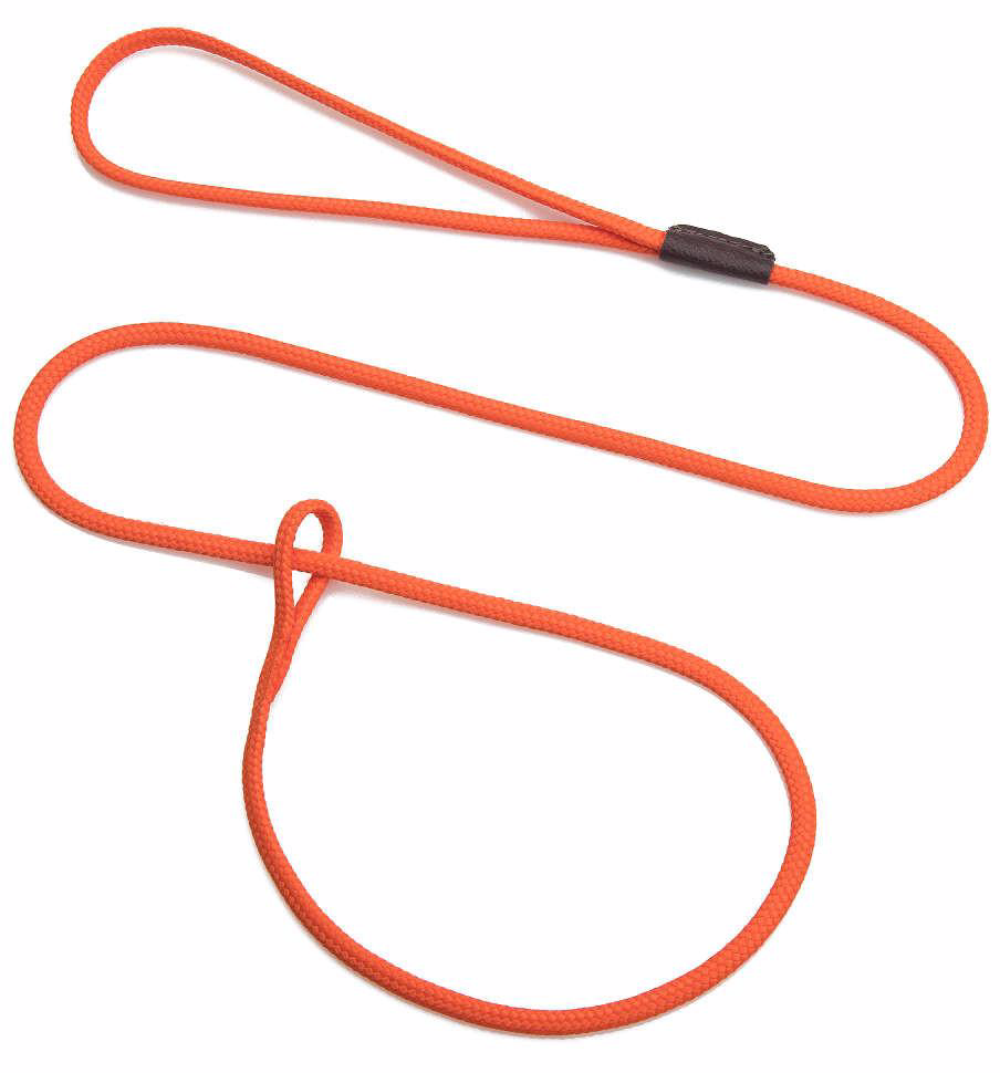 Colored Loop Lead