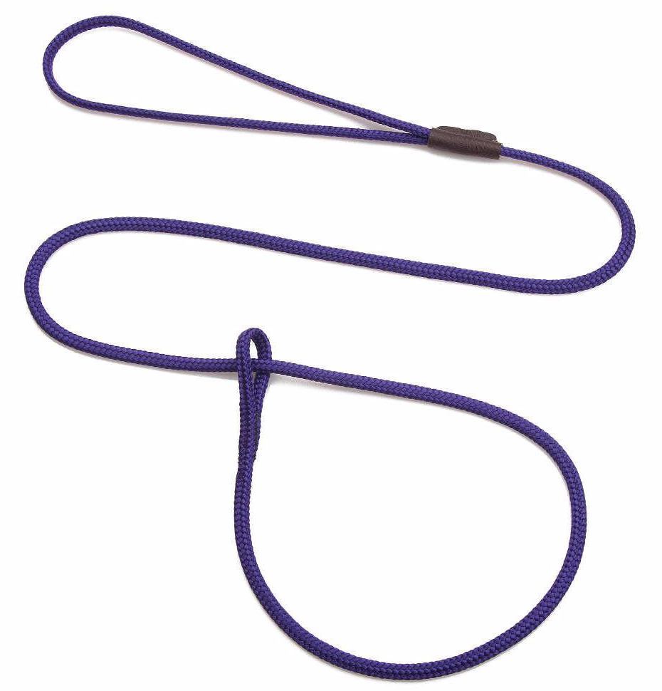 Colored Loop Lead