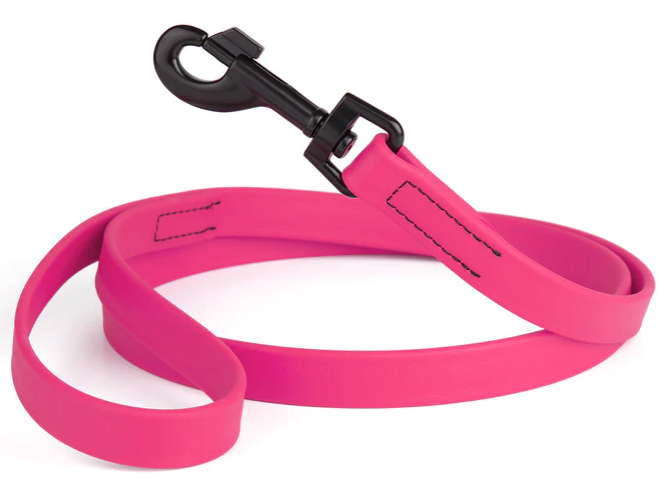 Biothane Leash