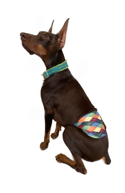 Sale Belly Bands