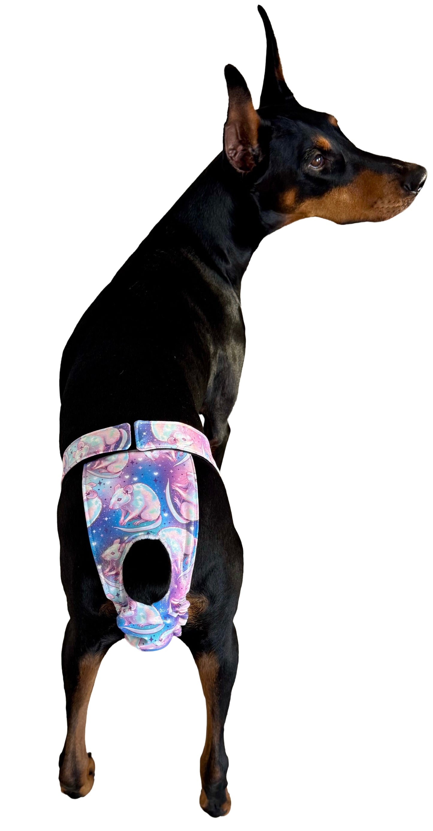 Sport Panty-Pattern Material