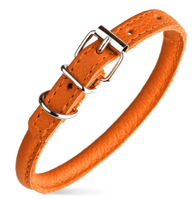 Rolled Leather Buckle Collar